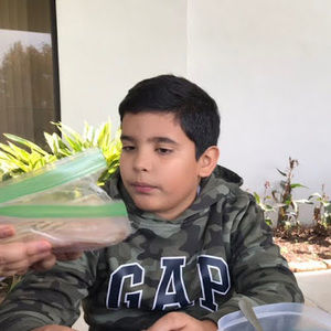 Meet your Posher, Cheepies